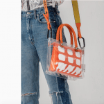 Designer Transparent Bag 10