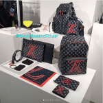 Louis Vuitton Monogram Upside Down Canvas Bags and Shoes 2