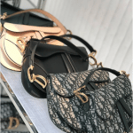 Dior Saddle Bags - Cruise 2019