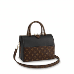 Louis Vuitton Monogram Canvas:Calf Leather Speedy Doctor Bag