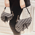 Dior Saddle Bag 1