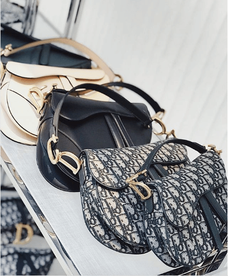 Dior Saddle Bags