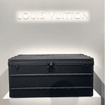 Louis Vuitton Black Trunk - Spring 2019