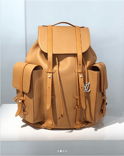 Louis Vuitton, Bags, Louis Vuitton Tan Vachetta Leather Christopher  Straps Pocket Gm Backpack