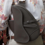 Dior Gray Saddle Bag - Spring 2019