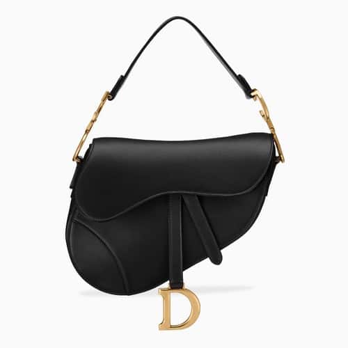 Dior Saddle Bag Reference Guide 