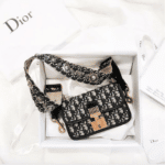 Dior Blue Oblique Canvas Dioraddict Flap Bag