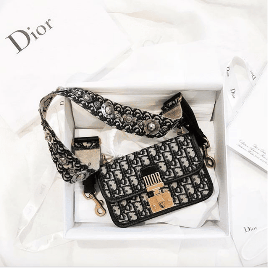 oblique bag dior