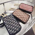 Dior Diorquake Clutch Bag 7