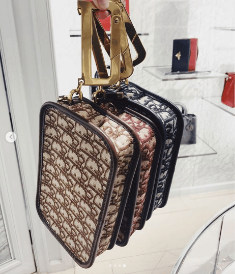 diorquake bag