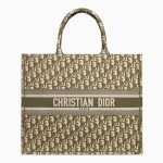 Dior Green Oblique Canvas Book Tote Bag