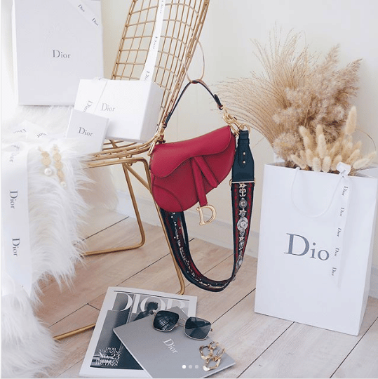 dior saddle bag red leather