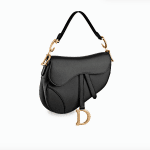 Dior Saddle Bag 1