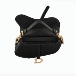 Dior Saddle Bag 2