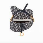 Dior Saddle Bag 3