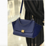 Celine Trapeze Bag 1