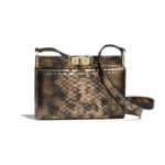 Chanel Bronze:Black Python Reissue Clutch Bag