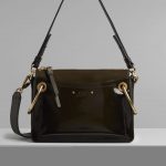 Chloe Deep Forest Spazzolato Sfumato Small Roy Bag