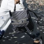 Dior Blue Oblique Canvas Backpack Bag - Spring 2019