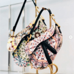 Dior Multicolor Embroidered Saddle Bags - Spring 2019