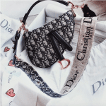 Dior Oblique Canvas Saddle Bag 2