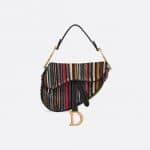 Dior Muticolor Striped Embroidered Mini Saddle Bag