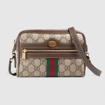 Gucci Ophidia Bag 1