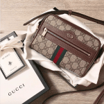 Gucci Ophidia Bag 2