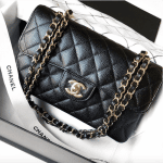 Chanel Small Classic Flap Bag 2