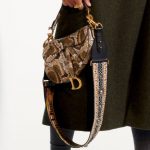Dior Natural Python Saddle Bag - Pre-Fall 2019
