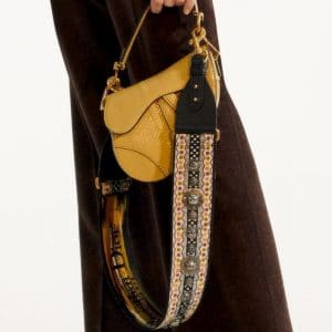 dior saddle bag with guitar strap