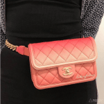 Chanel Coral Sunset By The Sea Waist Bag