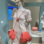 Chanel Red Side Packs Bag 2