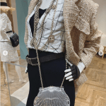 Chanel Transparent Seashell Minaudiere Bag 2