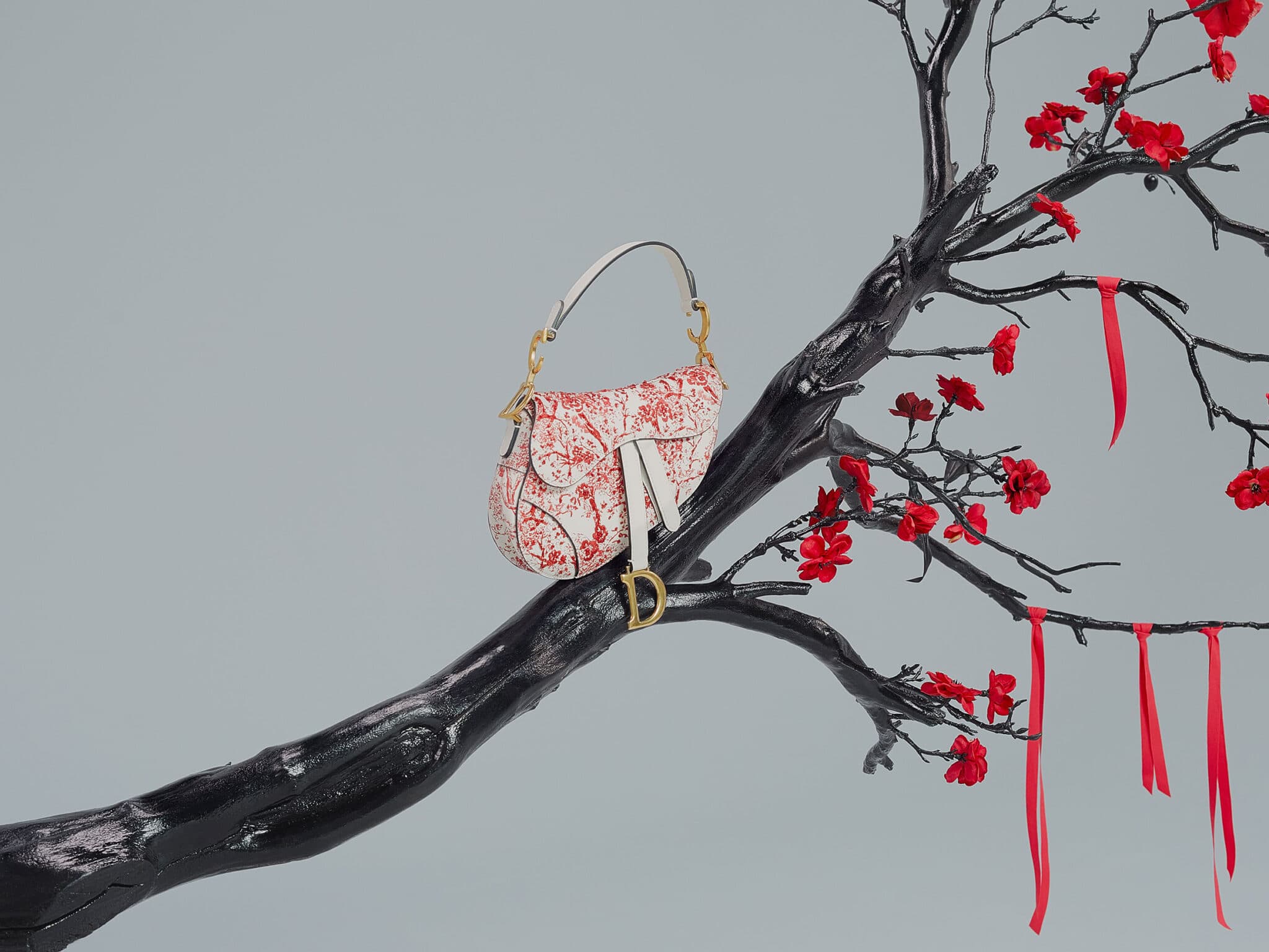 Dior Chinese New Year 2019 Features Floral Toile de Jouy - Spotted 