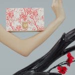 Dior Chinese New Year 2019 3