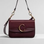 Chloe Burnt Brown Spazzolato Sfumato C Small Double Carry Bag