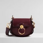 Chloe Burnt Brown Spazzolato Sfumato Tess Small Bag