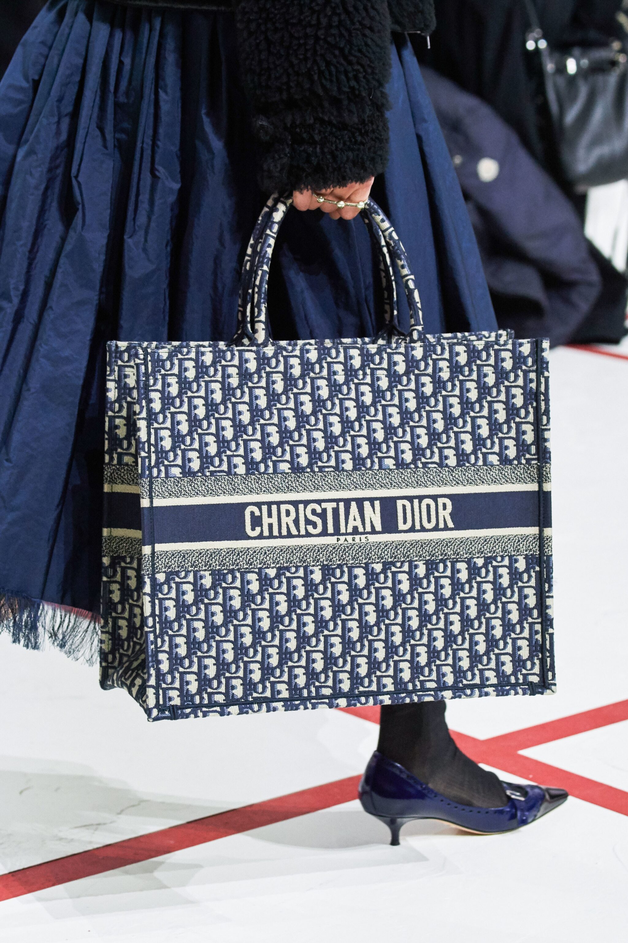 Dior Fall/Winter 2019 Runway Bag 