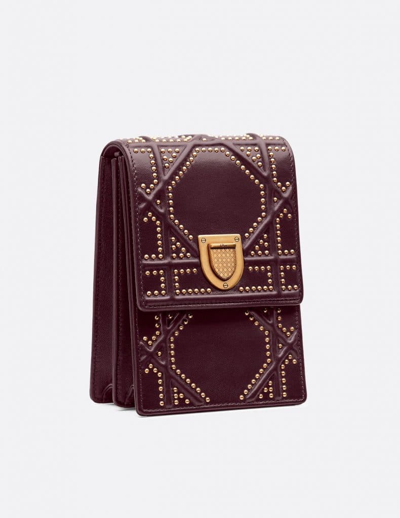 Dior Diorama Vertical Clutch Bag 1