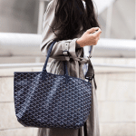 Goyard Saint Louis Bag 8