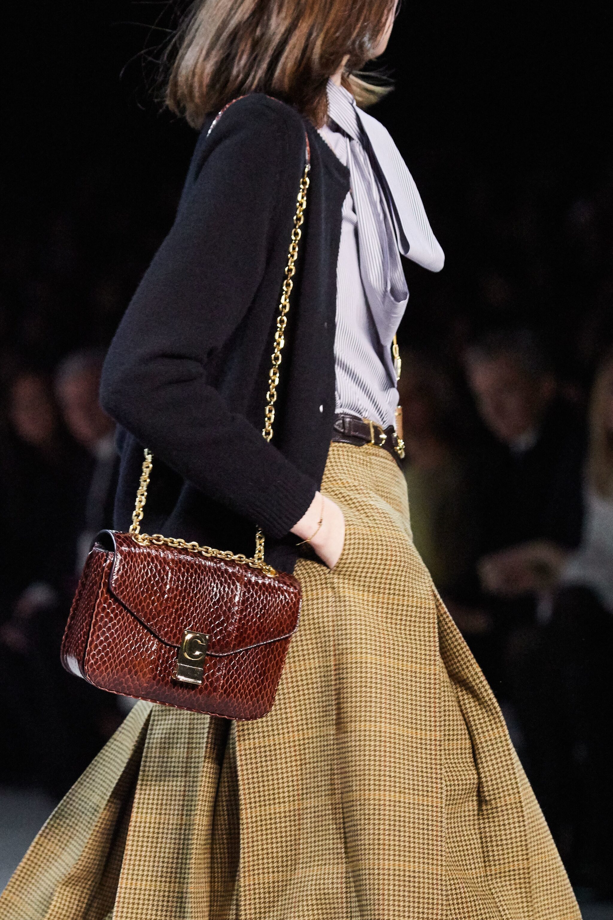 Celine fall 2019 bags shop