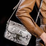 Celine White Python Triomphe Bag - Fall 2019