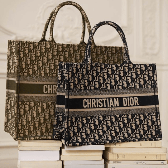 dior book tote small size