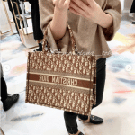 Dior Brown Oblique Canvas Small Book Tote Bag