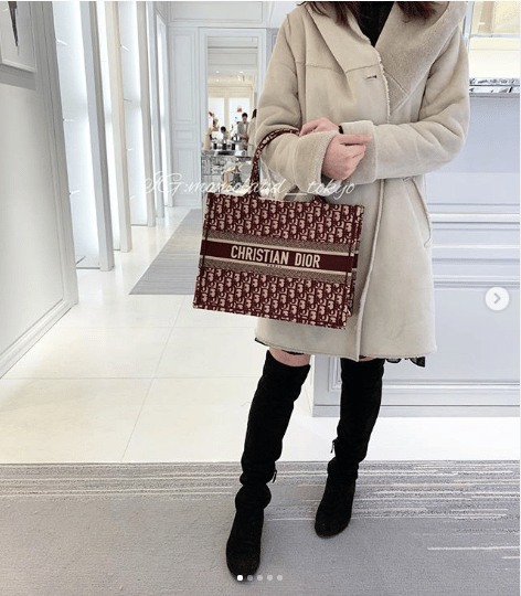 dior tote small size