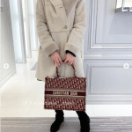 Dior Burgundy Oblique Canvas Small Book Tote Bag 3