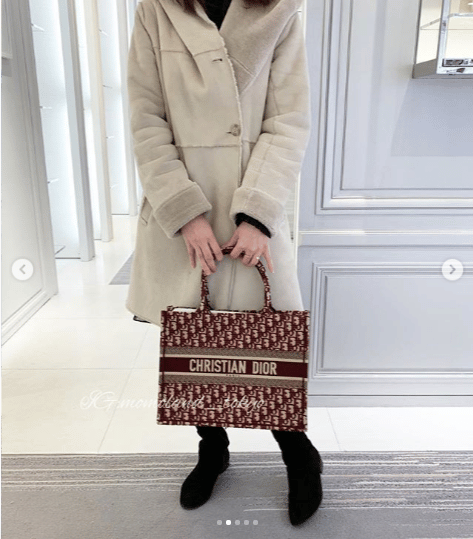 Dior Small Book Tote Bag Reference Guide | Spotted Fashion