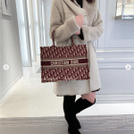 Dior Burgundy Oblique Canvas Small Book Tote Bag 4