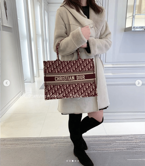 Dior Small Book Tote Bag Reference Guide | Spotted Fashion